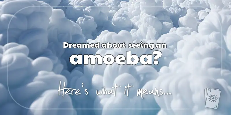 The Meaning of Dreams About an Amoeba header image
