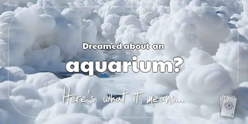 The Meaning of Dreams About an Aquarium header image